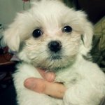 ★(사진유유유유)강남스타일 우라 이야기 ★