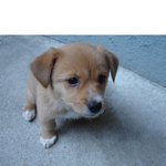 달콩이네 육아 성장일기♡