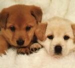 ●여기에 자기 이름이 없으면 특별한 이름●