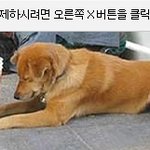 오늘(내일)의일기<b>예보</b>예용~