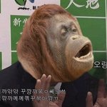 일본이<b>독도</b>를자기땅이라고우기는이유