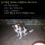 ▶▶<b>동물</b>도 사람과 같습니다... <b>유기</b>견뭉이를 만나다.. 이별하다...