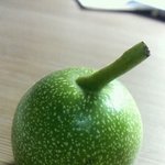 후기썼어요[사진有]호두까다가ㅋㅋㅋㅋㅋㅋㅋ