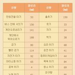 다이어트하면 무조건 먹지 말아야 한다는 편견은 버려라~