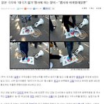 일본에 있는 태극기 밟기 <b>행사</b>