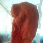<b>사진</b> 有)이거 뭔가요??