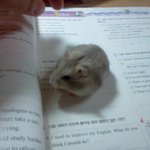 <b>오뎅</b>씨 톡 기념 리즈시절 동영상 투척