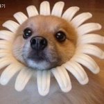 ★★단 3개의 패션아이템으로 자신감<b>up</b>★★★