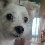 우리집은 동물농장