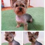 ★☆ 개<b>바보</b> 남자친구의 못말리는 에피소드 ☆★