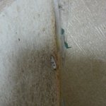 <b>gs25</b> 편의점의 진실?