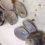 세상에 왕산해수욕장 모기 칼국수 실화..