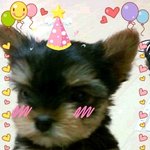 파란만장 귀염둥이 나타샤~