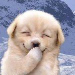 실격아니라고ㅡㅡ(좀 보라고 한국인은)