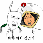 잉여 대학생의 <b>애완</b>파리