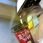 <b>악마</b>의 유혹.....