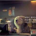 재미있는 패러디 광고들