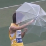 화영언니의 망가진 <b>우산</b>, 우현오빠가 가져감.