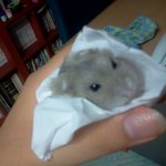 ★★사진有)오뎅씨의 소소한 하루 일기★★