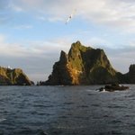 ★★★★★★<b>독도</b> 문제!! 10대들이 행동으로 보여줍시다★★★★★★★★