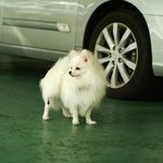 @ 한글이와 <b>세종</b>대왕 [18탄!!!]