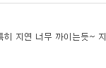 이딴놈들 때문에 얘쁜이와 <b>의지</b>돌이 뻔뻔하게 다니는 거임