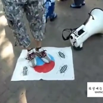 사진 有)★대한민국은바퀴벌레?