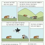 ★★★★★★★작은 호랑이 이야기★★★★★★★
