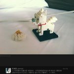 ★★★★얘쁜이가 <b>화영</b>한테 준 레고강아지 진짜 뜻★★★★
