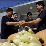 옥수수에 숨겨진 사실!?