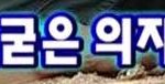 굳은 <b>의지</b>