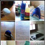 초파리와의 전쟁기...ㅜㅜ ....대박..