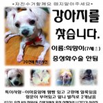 한강(<b>뚝섬</b>유원지역) 자주가시는분들 꼭 봐주세요!!