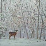 [아이큐테스트] 사진 속 <b>사슴</b>이 몇 마리 보이나요?