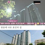 ★인터넷으로 담배주문한 <b>효민</b>★