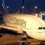 독일에서 워홀로 1년간 살아남기(1편)