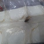 충격!!ㅂ<b>떡갈비</b>에 ★★바퀴벌레 한마리★★