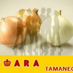 8월에<b>나올</b> 티아라 신곡