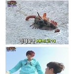대한민국 예능의 <b>판도</b>를 바꿨을지도 모르는 사건...