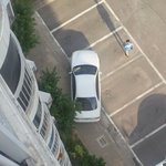 주차의 <b>달인</b>???