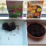 26세 흔남의 <b>화초</b> 키우기!!ㅋㅋ