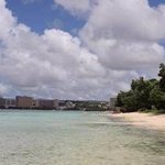 폭염의 연속인 여름에 피부 지키는 에센스