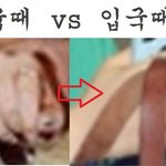 ■<b>화영</b>이 네일아트 루머 퍼뜨리는 퀸즈봐라■