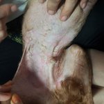사진추가)사진有)★강아지가 미용하고 와서 많이 <b>아파</b>해요★