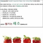 딸기가우리한테<b>배신때림</b>ㅡㅡ