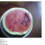 <b>수박</b> 먹으려다 아빠한테 맞은 일