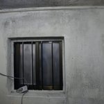 저는 곰팡이, 바퀴벌레, 습기와 동거중입니다.