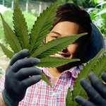 ★★<b>vip</b>들에게 묻는다★★