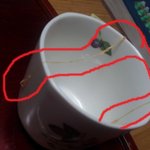 마트에서 <b>물회</b>사서 먹는데 연가시같은거 나옴 이거연가시임?