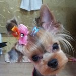 ★★★경남<b>양산</b>사시는분들..꼭!한번만봐주세요..!★★★